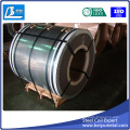 Hot DIP Galvanized Steel Coil with Regular Spangle